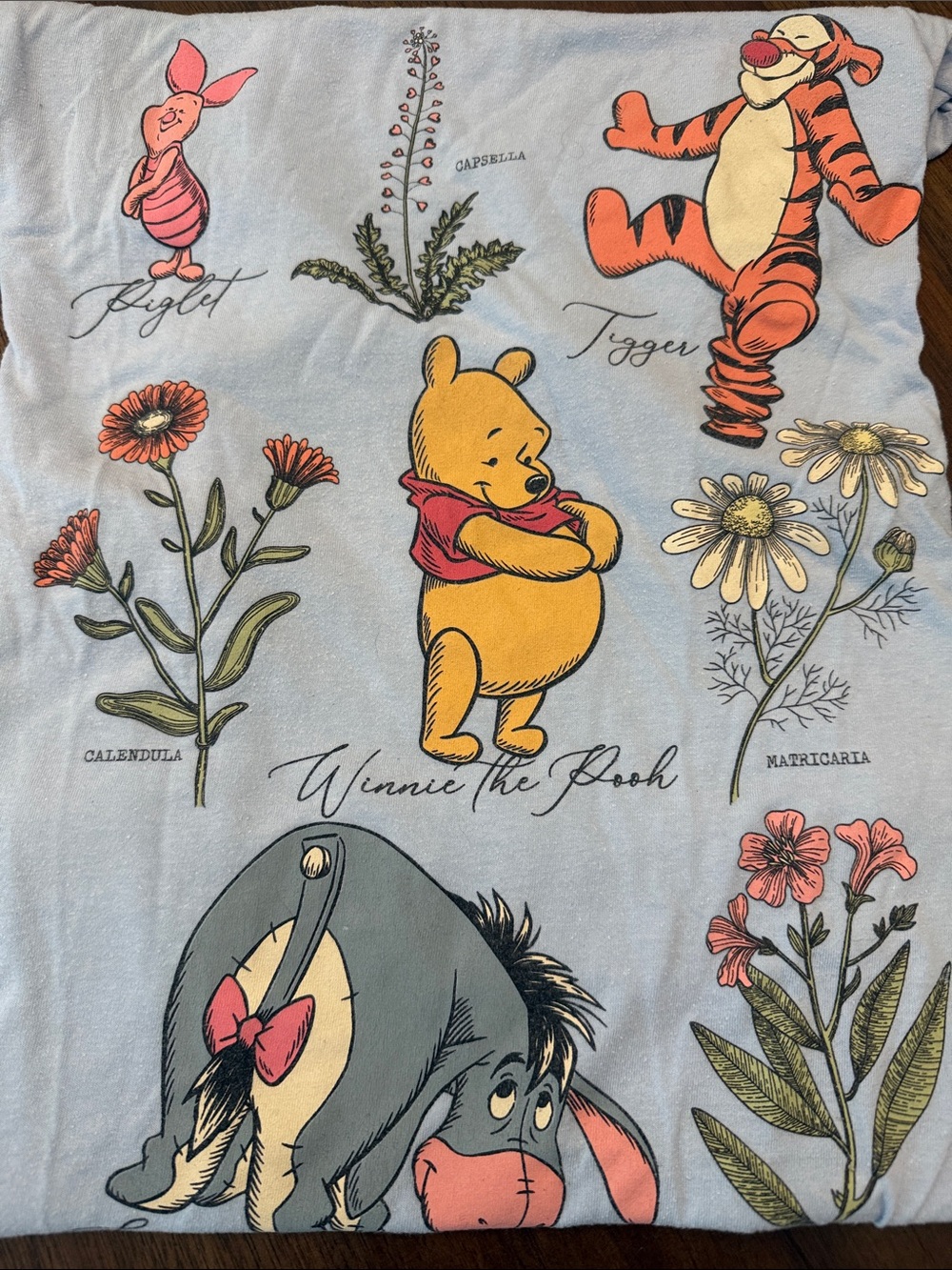 Winnie the Pooh Top - Light Blue with Character Print